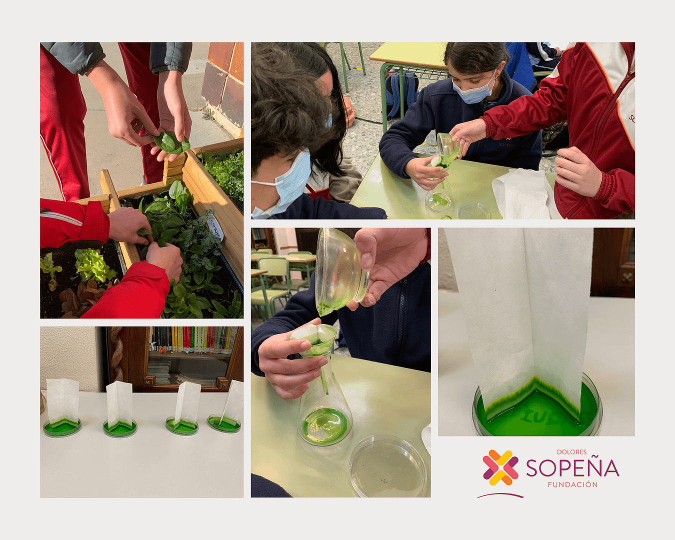 Collage de Cuadrícula Fotos Moodboard de Moda y Marrón