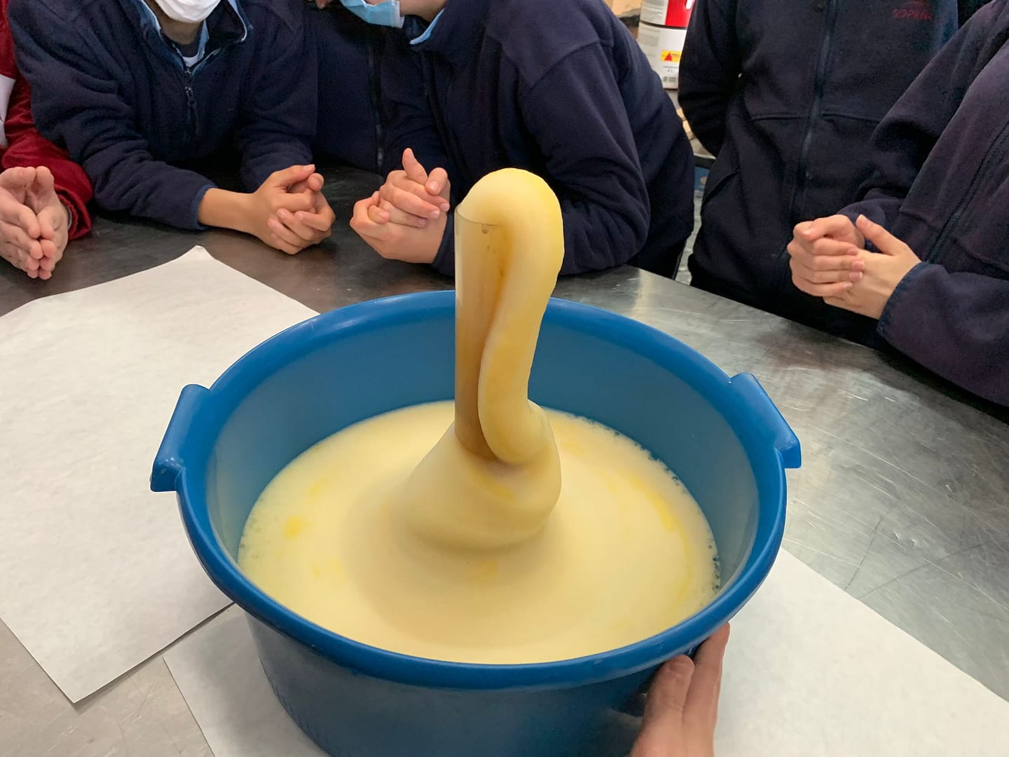 WhatsApp Image 2022-04-07 at 10.05.40 AM