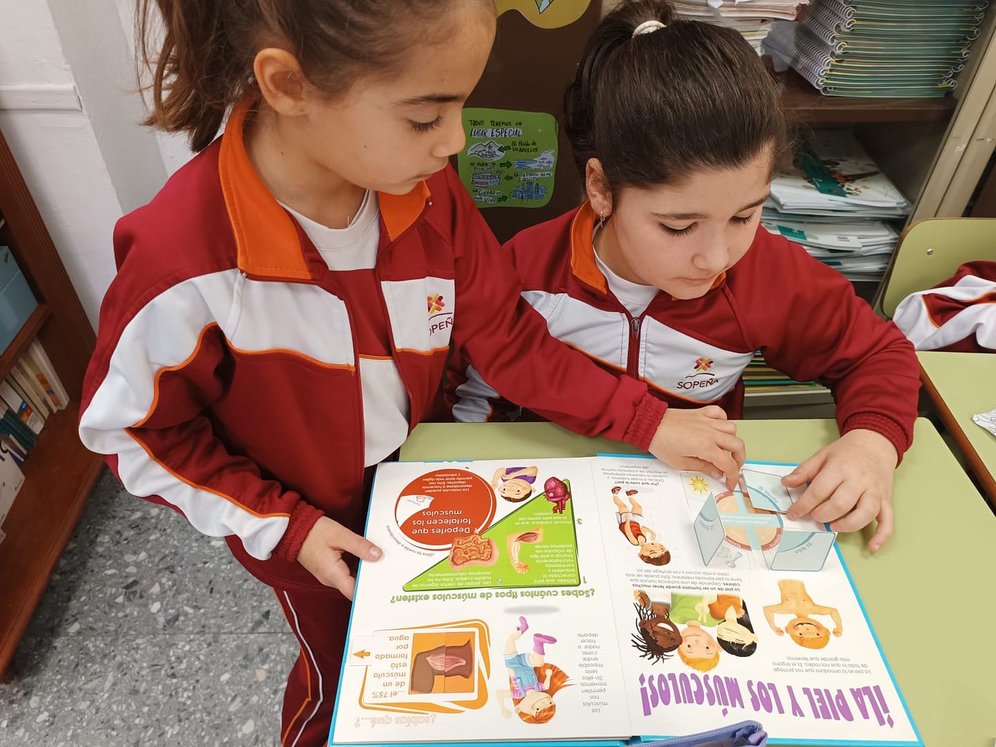 f08efdfa-7ca4-4c9a-83e0-3984cf1eedd4