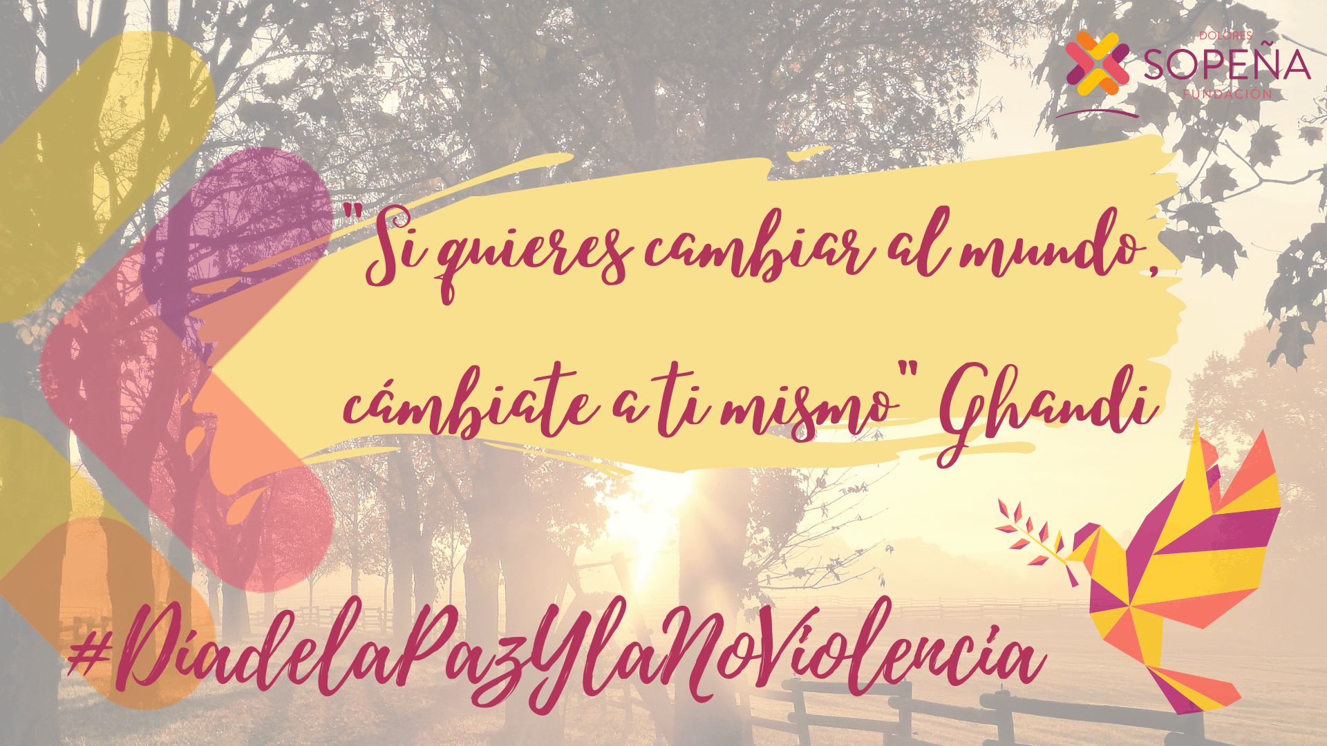 30 enero. Día de la Paz